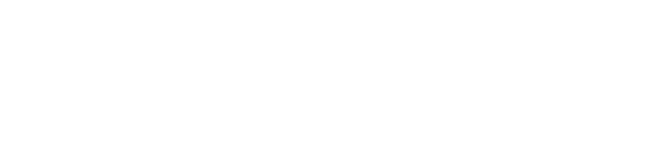 The LEGO Foundation